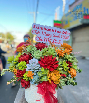 Bình Sen Đá Khai Trương