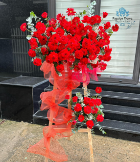 Hoa khai trương 28