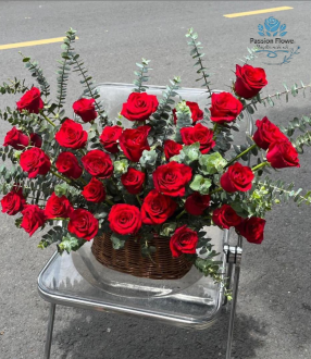 Hoa chúc mừng 08